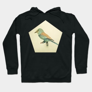 Bird study #2 Hoodie